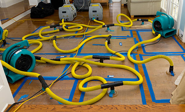 Professional Water Extraction technician working in Balch Springs, TX